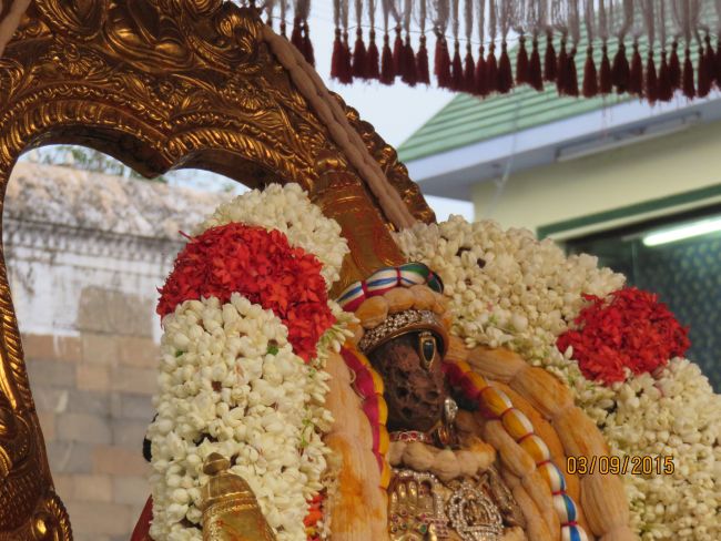 Kanchi Sri Devarajaswami Temple Pavithrotsavam day 6 -2015 14