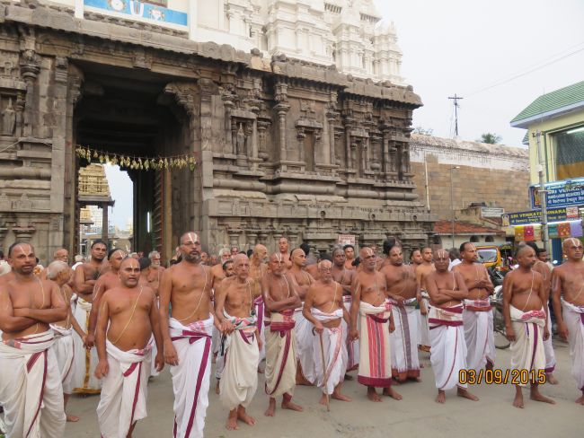 Kanchi Sri Devarajaswami Temple Pavithrotsavam day 6 -2015 15