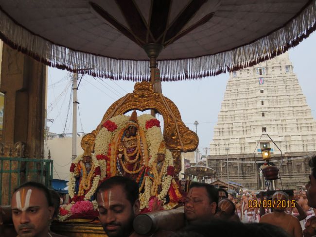 Kanchi Sri Devarajaswami Temple Pavithrotsavam day 6 -2015 18