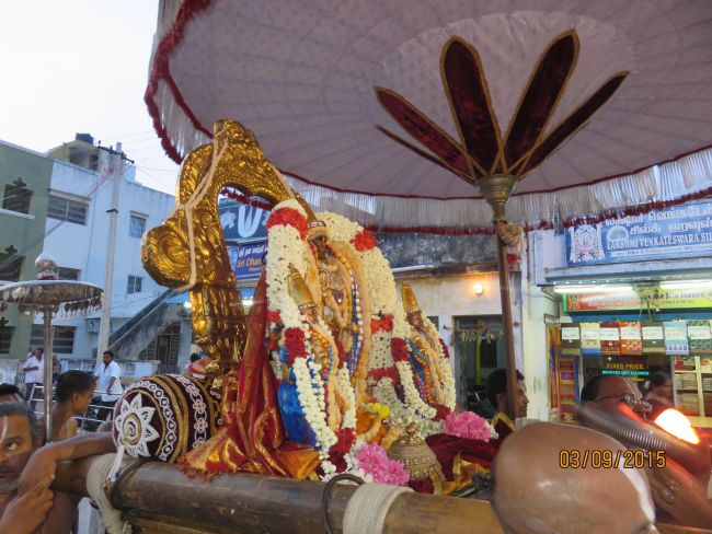 Kanchi Sri Devarajaswami Temple Pavithrotsavam day 6 -2015 22
