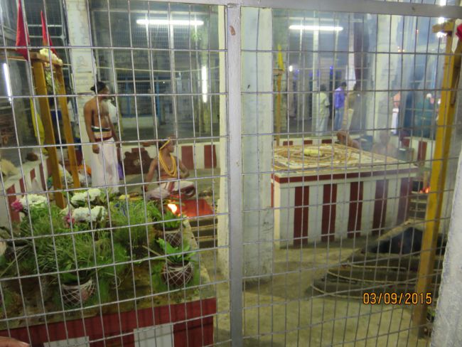 Kanchi Sri Devarajaswami Temple Pavithrotsavam day 6 -2015 30