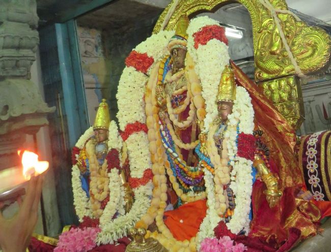 Kanchi Sri Devarajaswami Temple Pavithrotsavam day 6 -2015 34