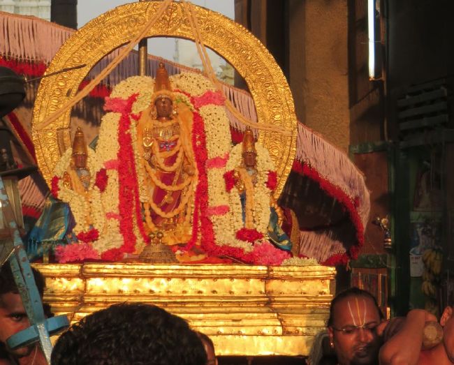 Kanchi Sri Devarajaswami Temple Pavithrotsavam day 7 2015 02