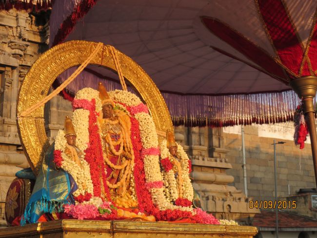 Kanchi Sri Devarajaswami Temple Pavithrotsavam day 7 2015 04