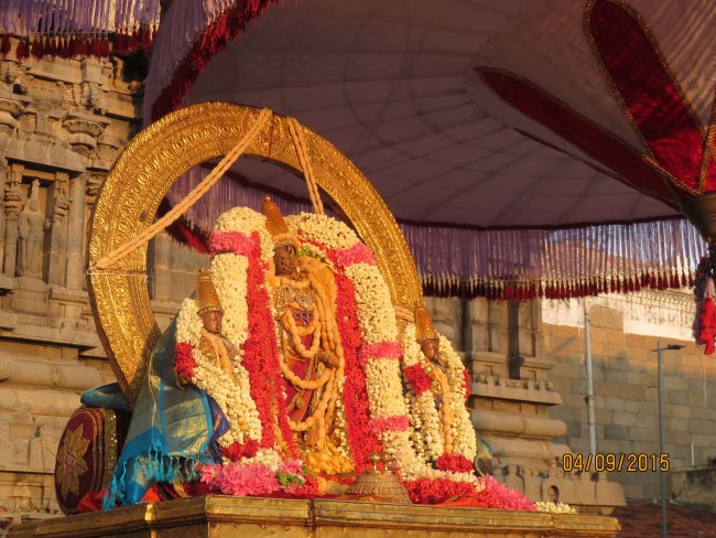 Kanchi Sri Devarajaswami Temple Pavithrotsavam day 7 2015 05