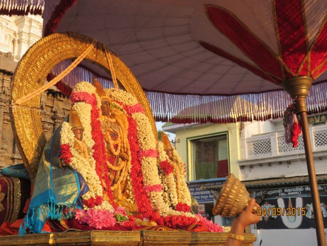 Kanchi Sri Devarajaswami Temple Pavithrotsavam day 7 2015 06