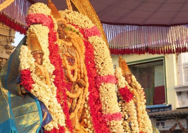 Kanchi Sri Devarajaswami Temple Pavithrotsavam day 7 2015 07