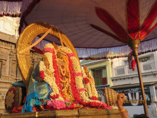 Kanchi Sri Devarajaswami Temple Pavithrotsavam day 7 2015 08