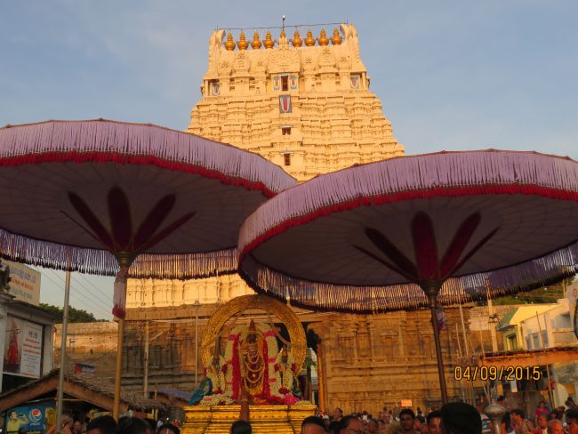 Kanchi Sri Devarajaswami Temple Pavithrotsavam day 7 2015 14