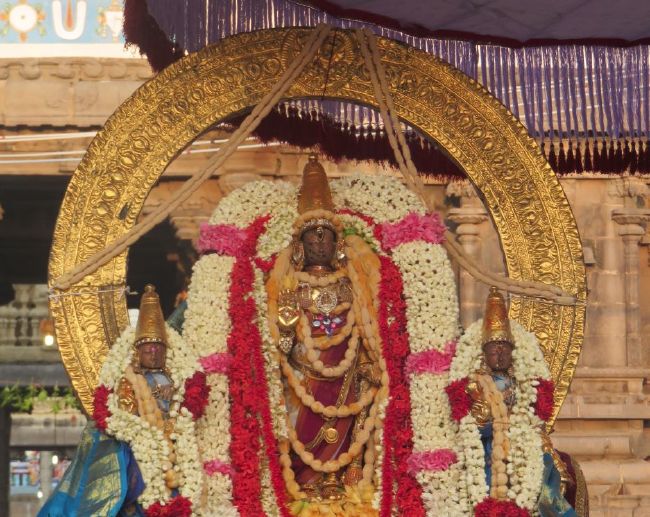 Kanchi Sri Devarajaswami Temple Pavithrotsavam day 7 2015 15