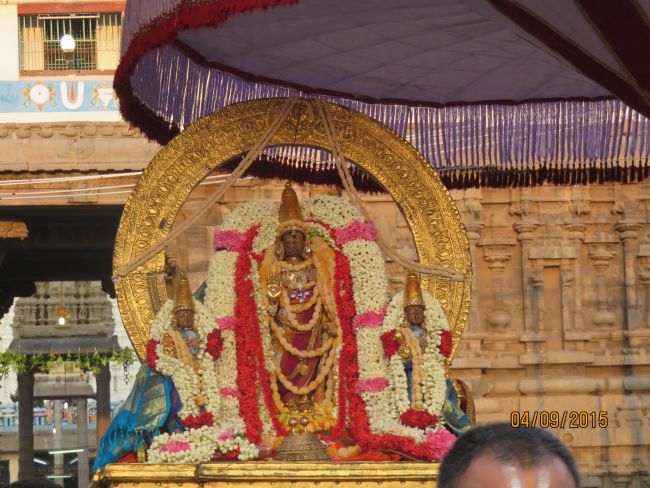 Kanchi Sri Devarajaswami Temple Pavithrotsavam day 7 2015 16