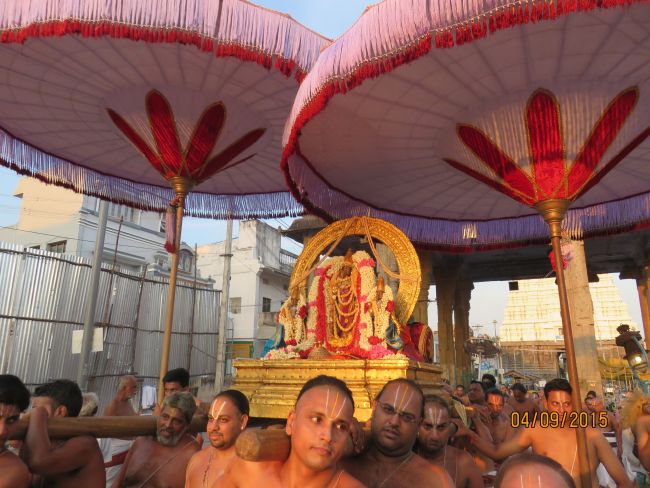 Kanchi Sri Devarajaswami Temple Pavithrotsavam day 7 2015 17