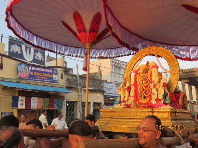 Kanchi Sri Devarajaswami Temple Pavithrotsavam day 7 2015 19