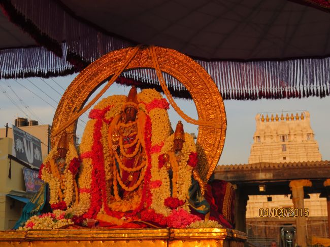 Kanchi Sri Devarajaswami Temple Pavithrotsavam day 7 2015 22