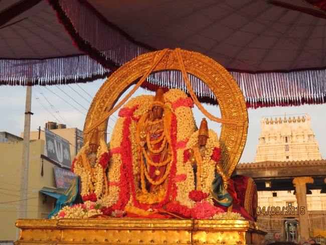 Kanchi Sri Devarajaswami Temple Pavithrotsavam day 7 2015 23