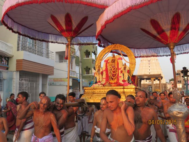 Kanchi Sri Devarajaswami Temple Pavithrotsavam day 7 2015 26