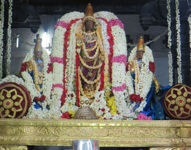 Kanchi Sri Devarajaswami Temple Pavithrotsavam day 7 2015 43