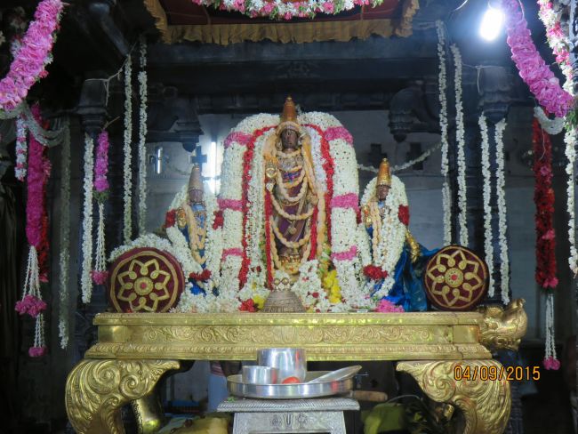 Kanchi Sri Devarajaswami Temple Pavithrotsavam day 7 2015 44