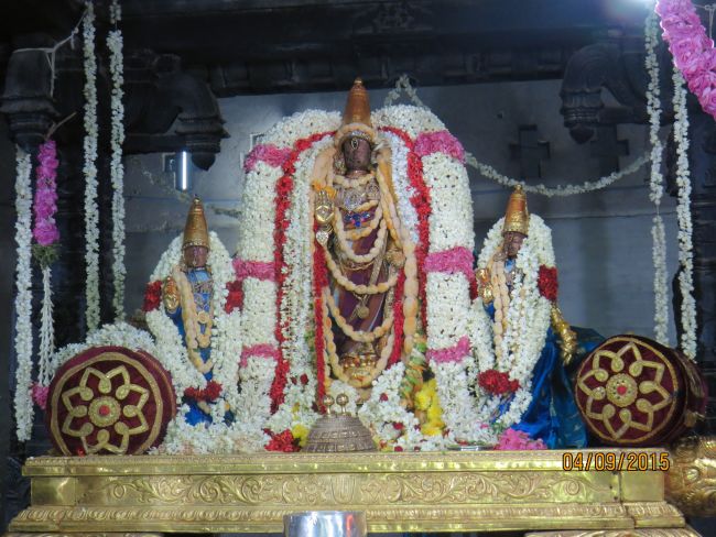 Kanchi Sri Devarajaswami Temple Pavithrotsavam day 7 2015 46