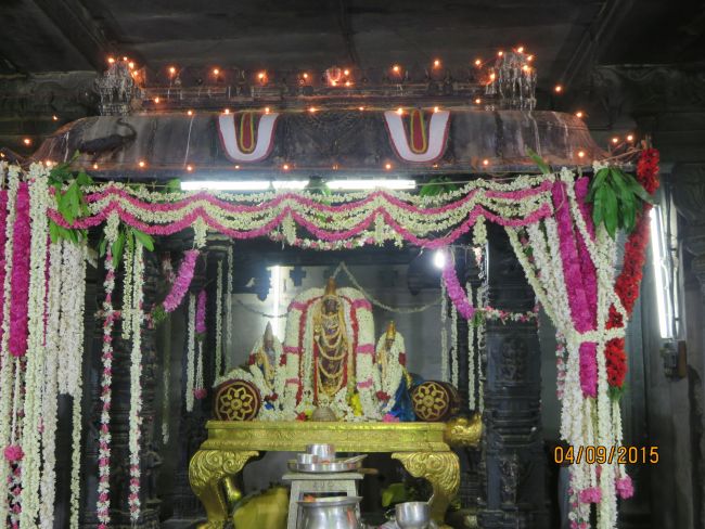 Kanchi Sri Devarajaswami Temple Pavithrotsavam day 7 2015 47