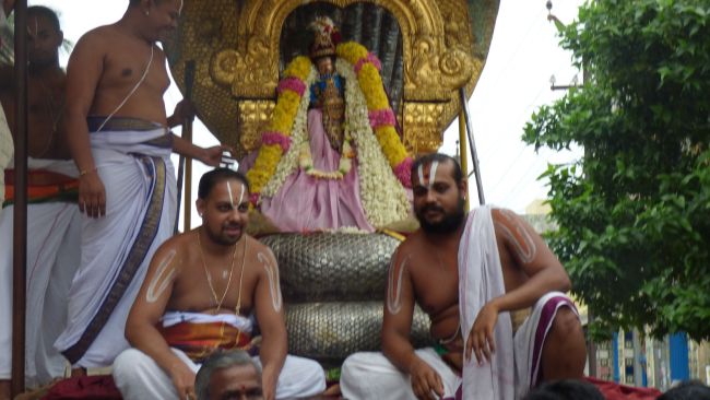Kanchi Sri Devarajaswami Temple SRi Jayanthi Utsavam -2015 07