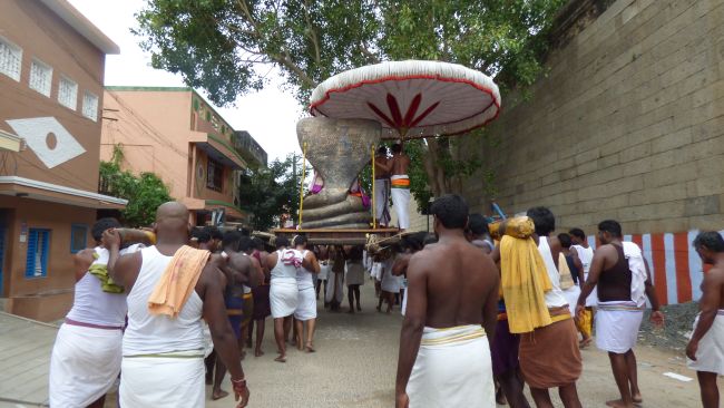 Kanchi Sri Devarajaswami Temple SRi Jayanthi Utsavam -2015 09