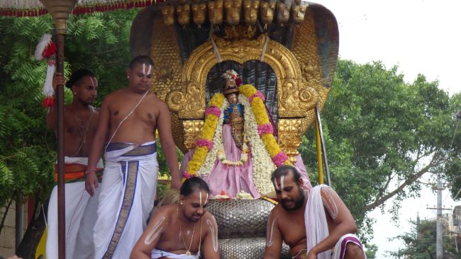 Kanchi Sri Devarajaswami Temple SRi Jayanthi Utsavam -2015 14