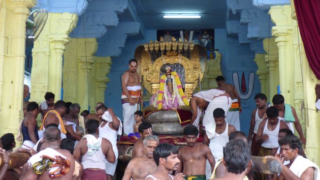 Kanchi Sri Devarajaswami Temple SRi Jayanthi Utsavam -2015 39