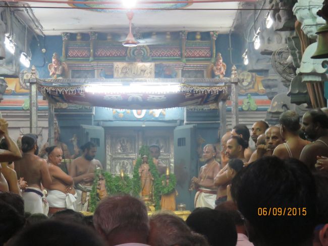 Kanchi Sri Devarajaswami Temple Sangu Pal  Utsavam 2015 14