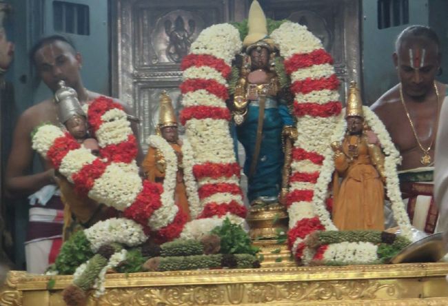 Kanchi Sri Devarajaswami Temple Sangu Pal  Utsavam 2015 21