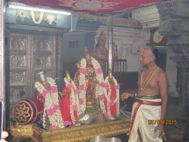 Kanchi Sri Devarajaswami Temple Sangu Pal  Utsavam 2015 30