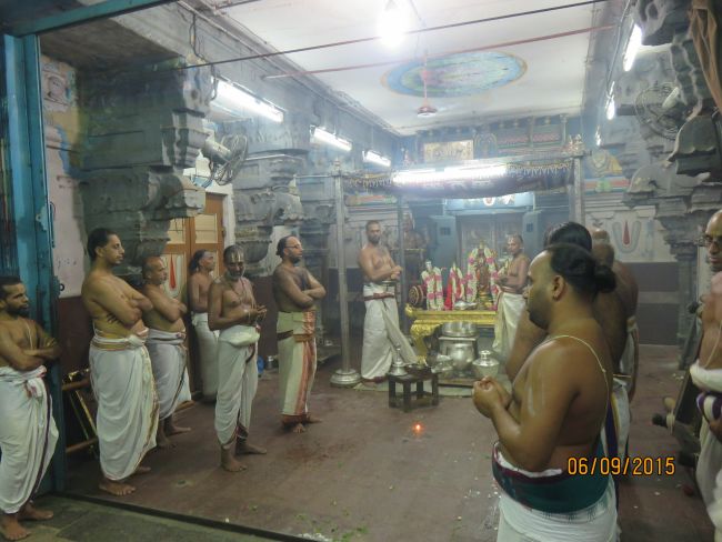Kanchi Sri Devarajaswami Temple Sangu Pal  Utsavam 2015 32