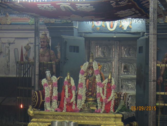 Kanchi Sri Devarajaswami Temple Sangu Pal  Utsavam 2015 33
