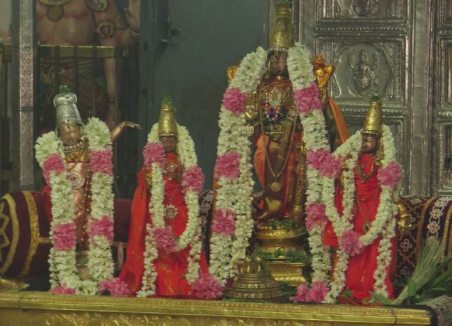 Kanchi Sri Devarajaswami Temple Sangu Pal  Utsavam 2015 36