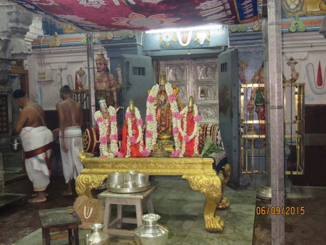 Kanchi Sri Devarajaswami Temple Sangu Pal  Utsavam 2015 37