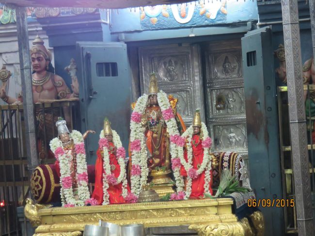 Kanchi Sri Devarajaswami Temple Sangu Pal  Utsavam 2015 42
