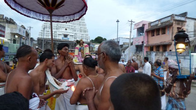 Kanchi Sri Devarajaswami Temple Sri Jayanthi Uriyadi Utsavam -2015 32