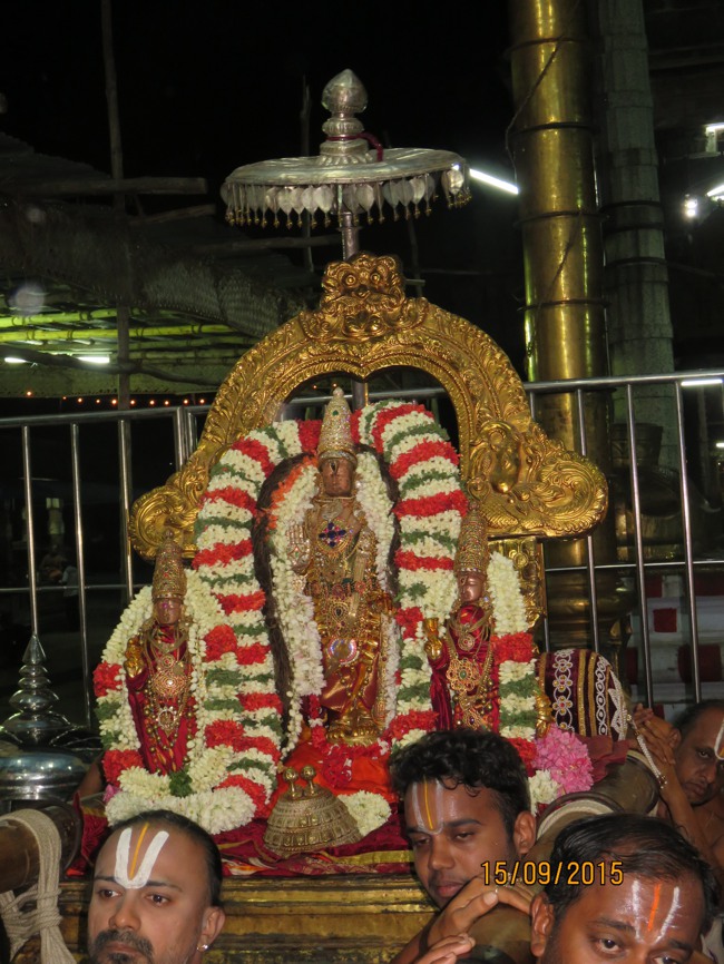 Kanchi Sri Devarajaswami  temple avani Swathi and Desikan Thirumanjanam-2015-02
