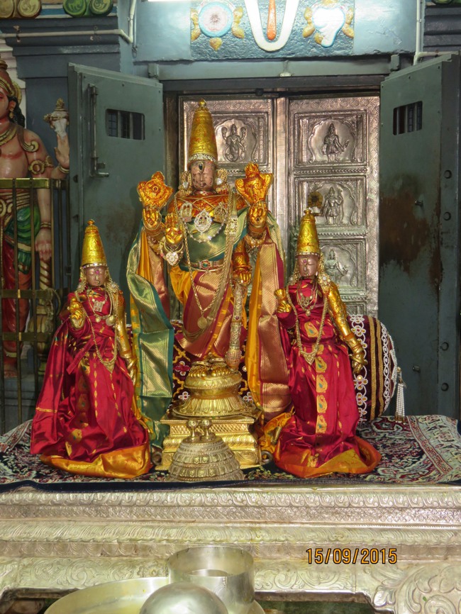 Kanchi Sri Devarajaswami  temple avani Swathi and Desikan Thirumanjanam-2015-32