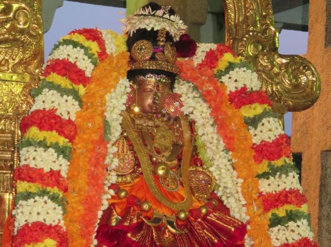 Kanchi Sri Perundhevi Thayar Purattasi 2nd Sukravara Purappadu  2015-15.jpg