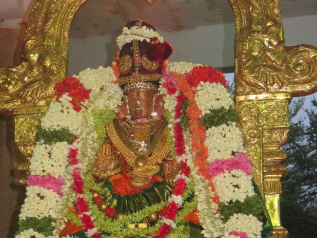 Kanchi Sri Perundhevi Thayar avani Sukravara Purappadu 2015 09