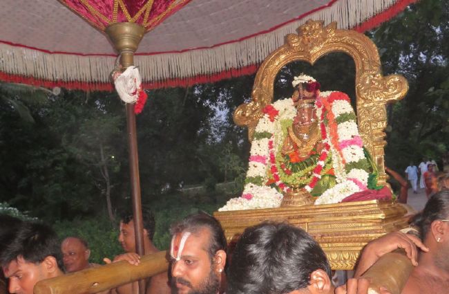 Kanchi Sri Perundhevi Thayar avani Sukravara Purappadu 2015 16