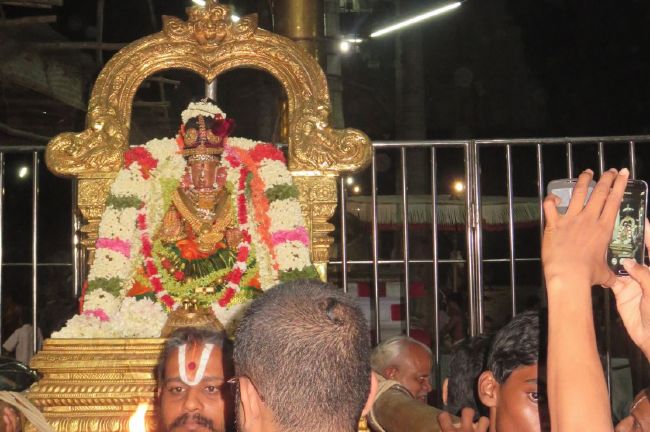 Kanchi Sri Perundhevi Thayar avani Sukravara Purappadu 2015 26