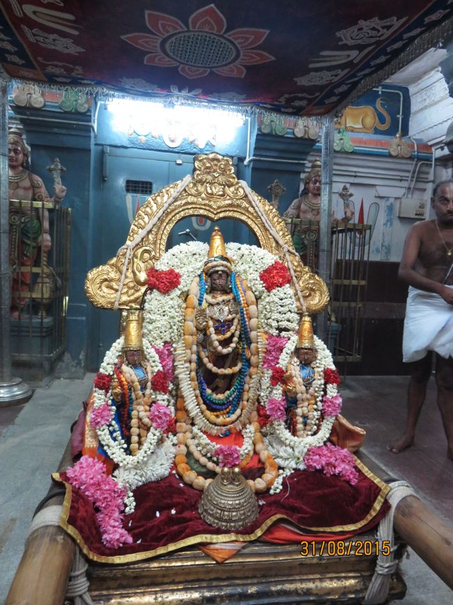 Kanchi-Sri-Varadaraja-Perumal-Pavitrostavam3_08.jpg