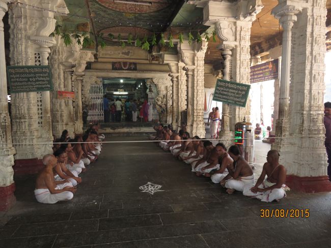 Kanchi-Sri-Varadaraja-Perumal-Pavitrostavam_04.jpg