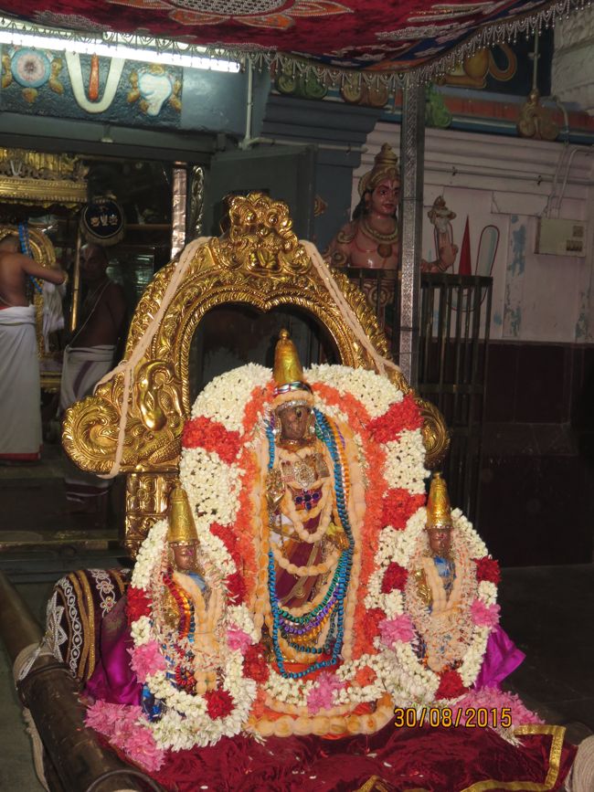 Kanchi-Sri-Varadaraja-Perumal-Pavitrostavam_06.jpg