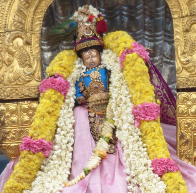 Kanchi varadar Kovil Sri Jayanthi Utsavam 2015