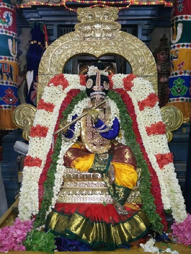 Keelkattalai Sri Srinivasa Perumal Temple Manmadha Varusha Uriyadi Utsavam6
