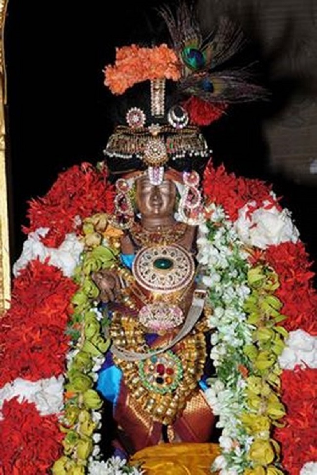 Lower Ahobilam Sri Lakshmi Narasimha Swami Temple Sri Jayanthi Utsavam16