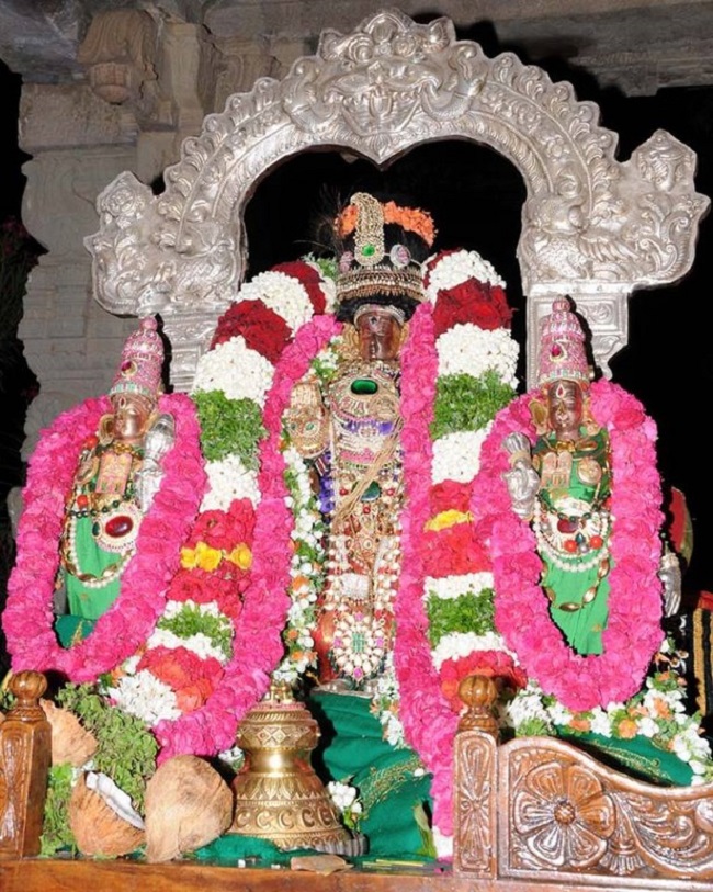 Lower Ahobilam Sri Lakshmi Narasimha Swami Temple Sri Jayanthi Utsavam17